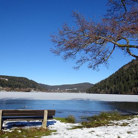 Chalet La Petite Perle Gerardmer Exterior photo