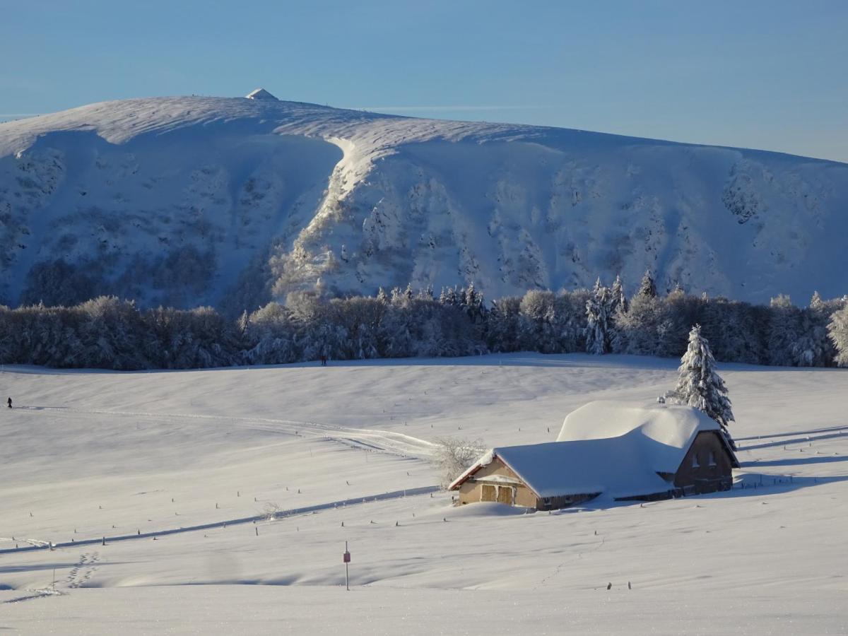 Chalet La Petite Perle Gerardmer Exterior photo