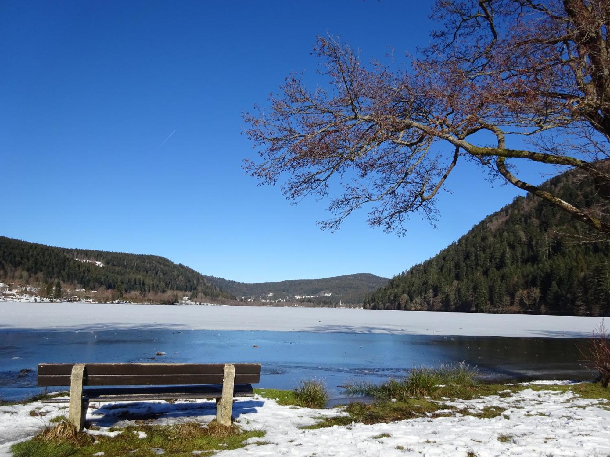 Chalet La Petite Perle Gerardmer Exterior photo
